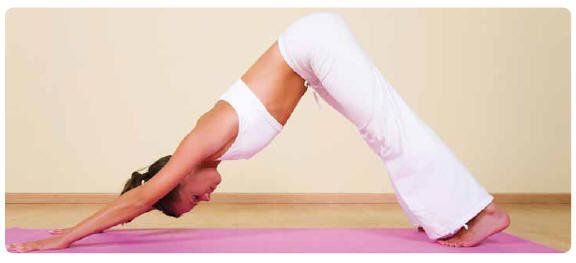 Ausbildung zum Personal Health Coach.