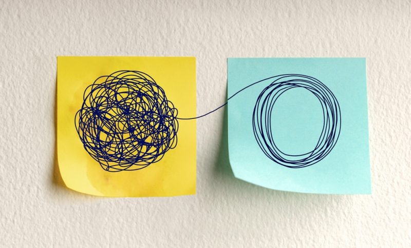 Welchen Sinn hat Verhalten in Ihrem aktuellen Lebenssystem?